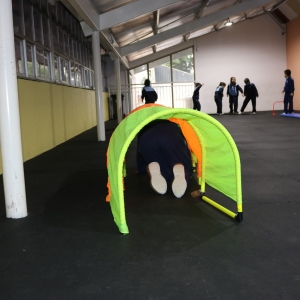 Día de la Actividad Física